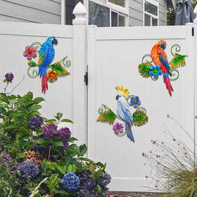 J-Fly gift-ready parrot wall art for bird lovers.
