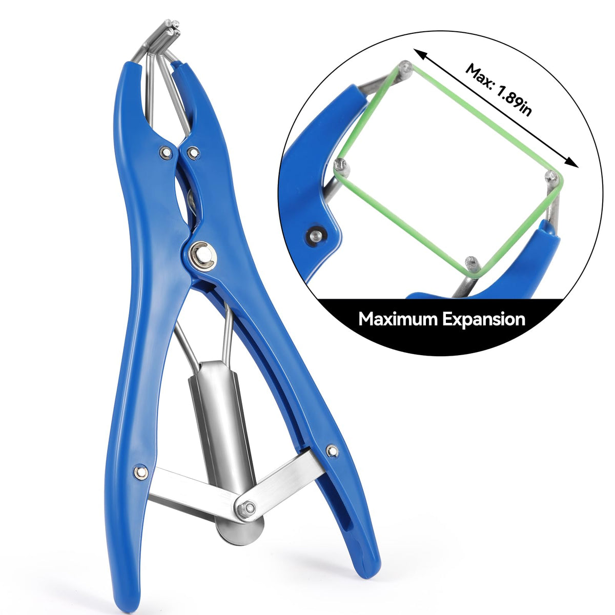Jabcmier band diameter 0-2 inch inner highlighted for accurate sizing on kids and lambs