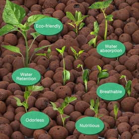Jabrand LECA porous structure close-up illustrating aeration benefits for roots