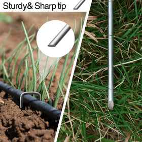 Jaciry drip irrigation stakes hold tubing neatly in soil for organized irrigation.