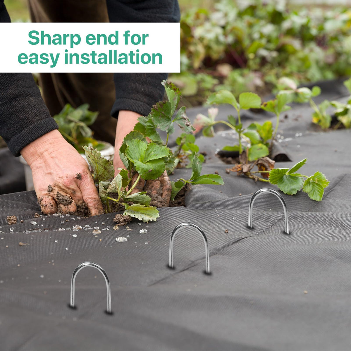 Jaciry landscape stakes used along garden edges to anchor netting and decorative strips.