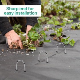 Jaciry landscape stakes used along garden edges to anchor netting and decorative strips.