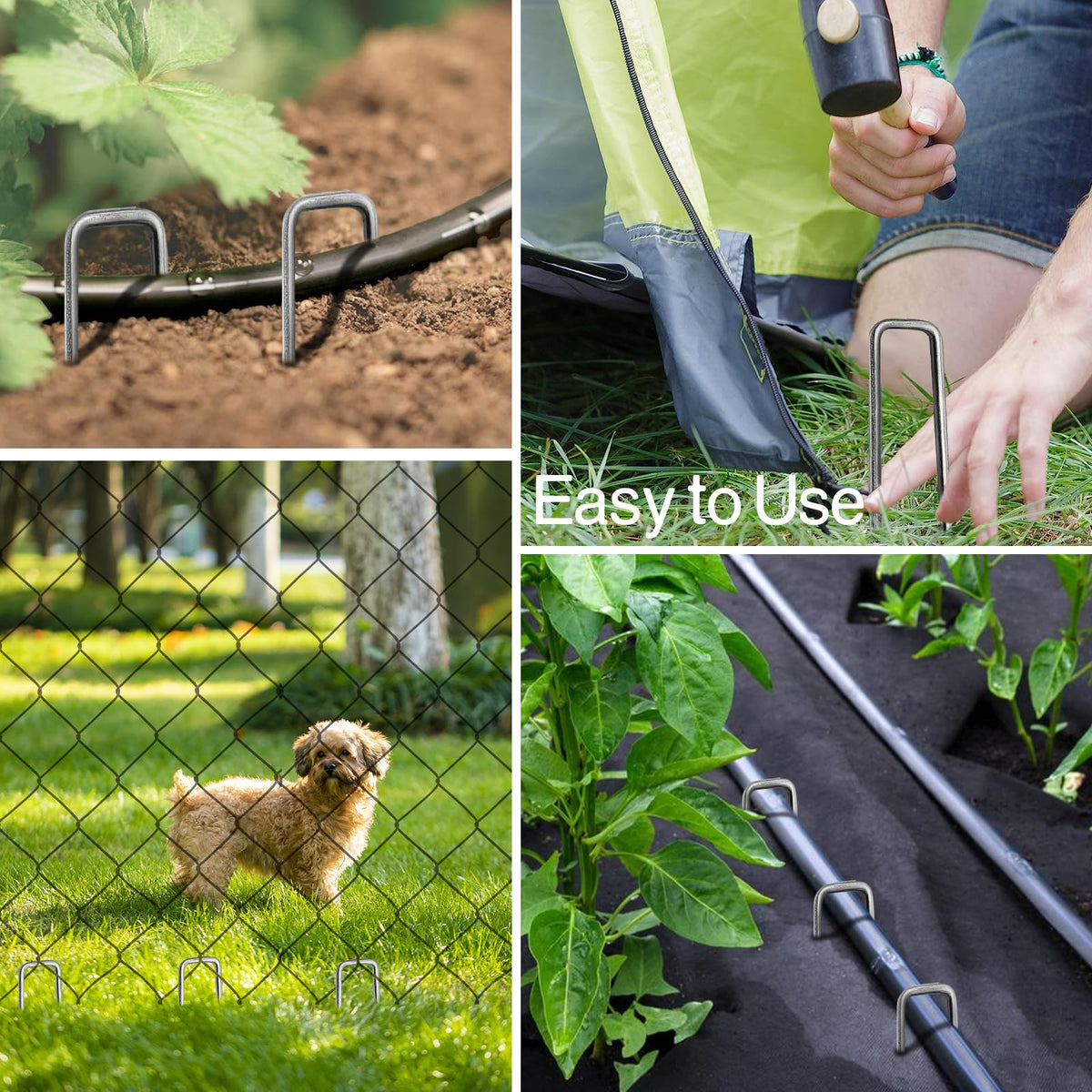 Jaciry sharp end stakes insert easily into soil for quick setups