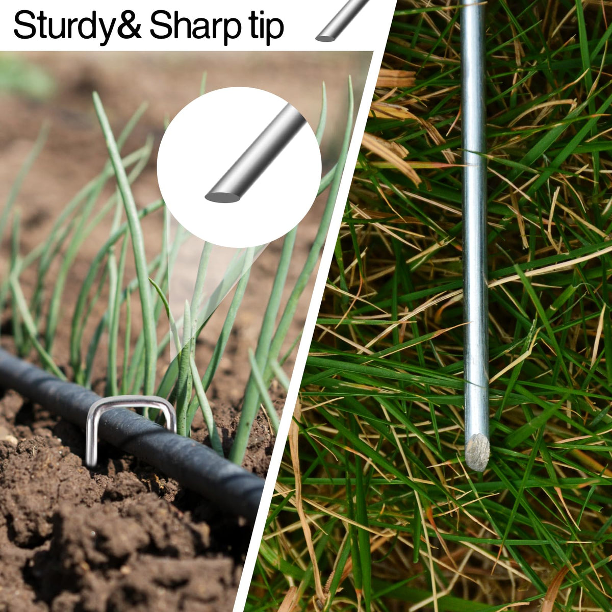 Jaciry turf and netting anchor stake keeps irrigation tubes in place