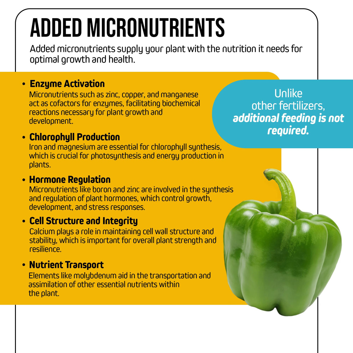 Jack's Classic Part B demonstrates hydroponics compatibility with continuous feeding