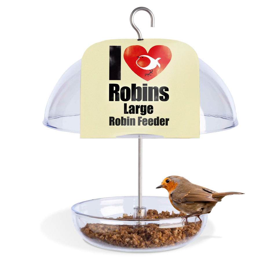 Jacobi Jayne Pearl Feeder dome view attracting bluebirds to mealworms.