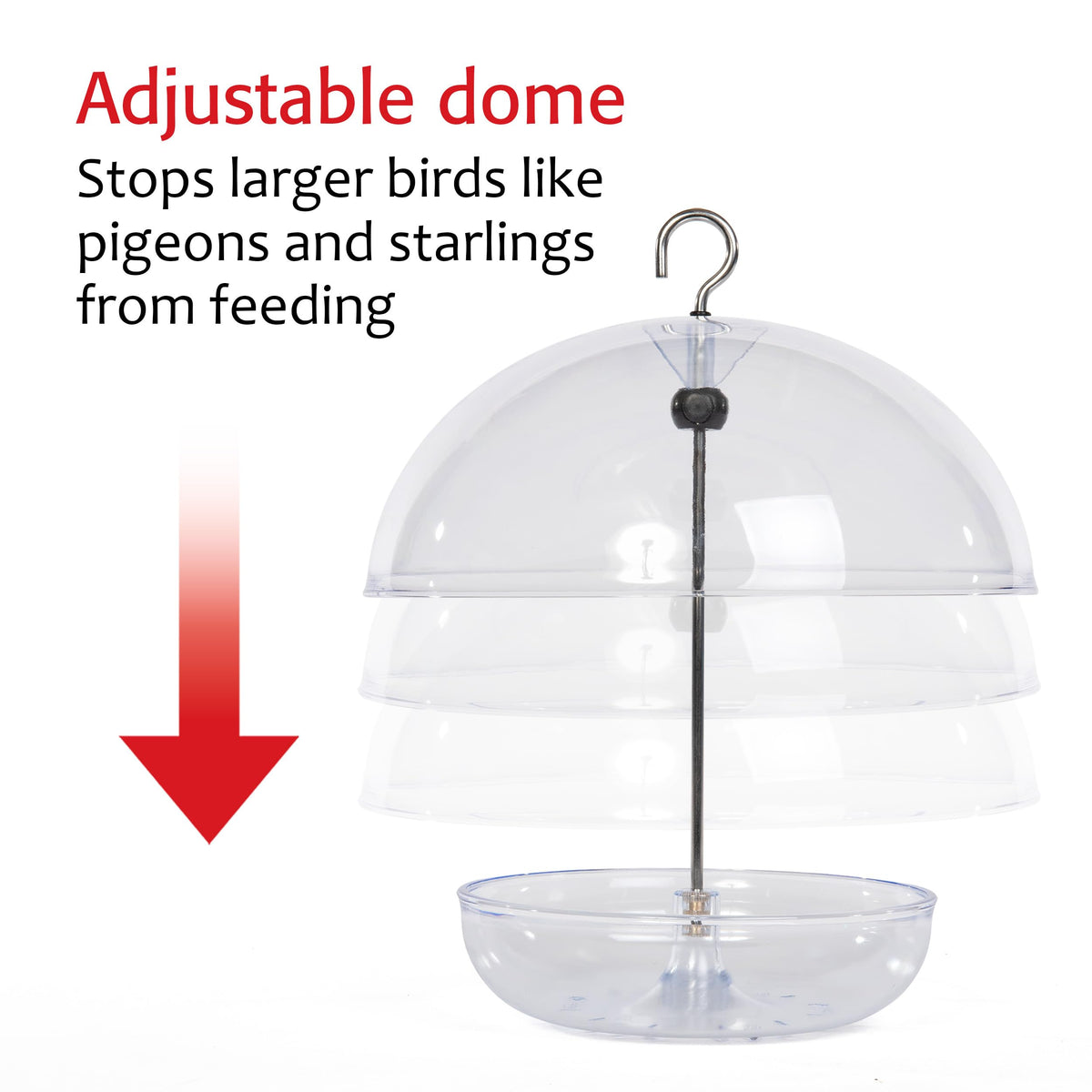 Jacobi Jayne Mealworm Feeder keeps live mealworms dry outdoors.