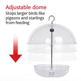 Jacobi Jayne Mealworm Feeder keeps live mealworms dry outdoors.