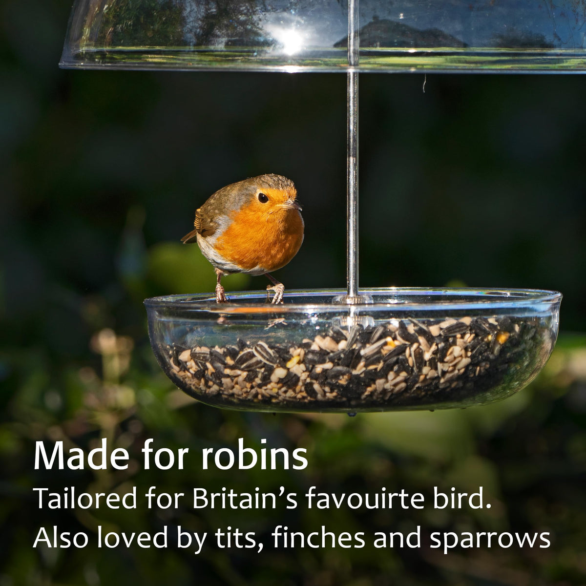 Jacobi Jayne Pearl Feeder clear dome for viewing feeding birds.