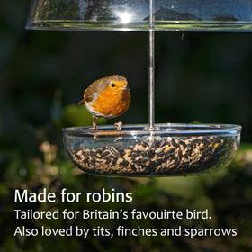 Jacobi Jayne Pearl Feeder clear dome for viewing feeding birds.