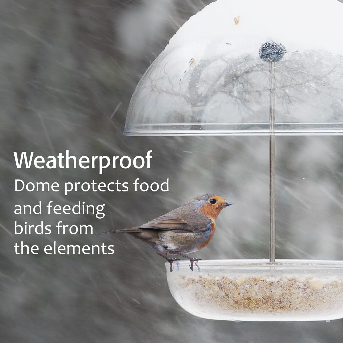Jacobi Jayne Pearl Feeder spacious feeding area for multiple small birds.
