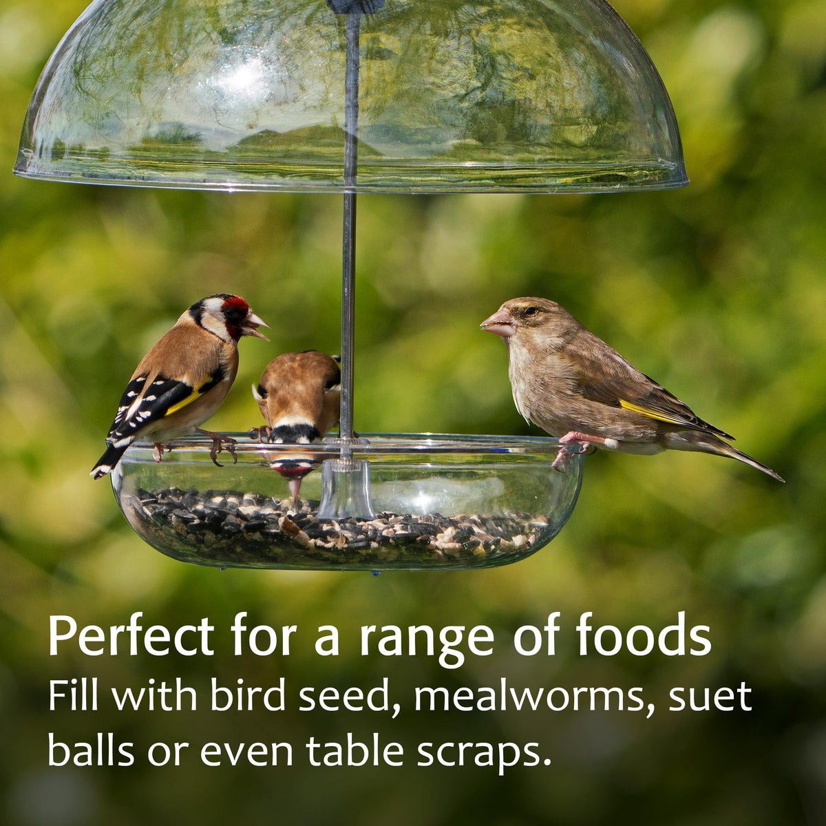 Jacobi Jayne Pearl Feeder deters larger birds and squirrels from feeding.