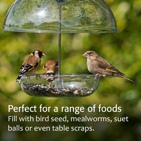 Jacobi Jayne Pearl Feeder deters larger birds and squirrels from feeding.