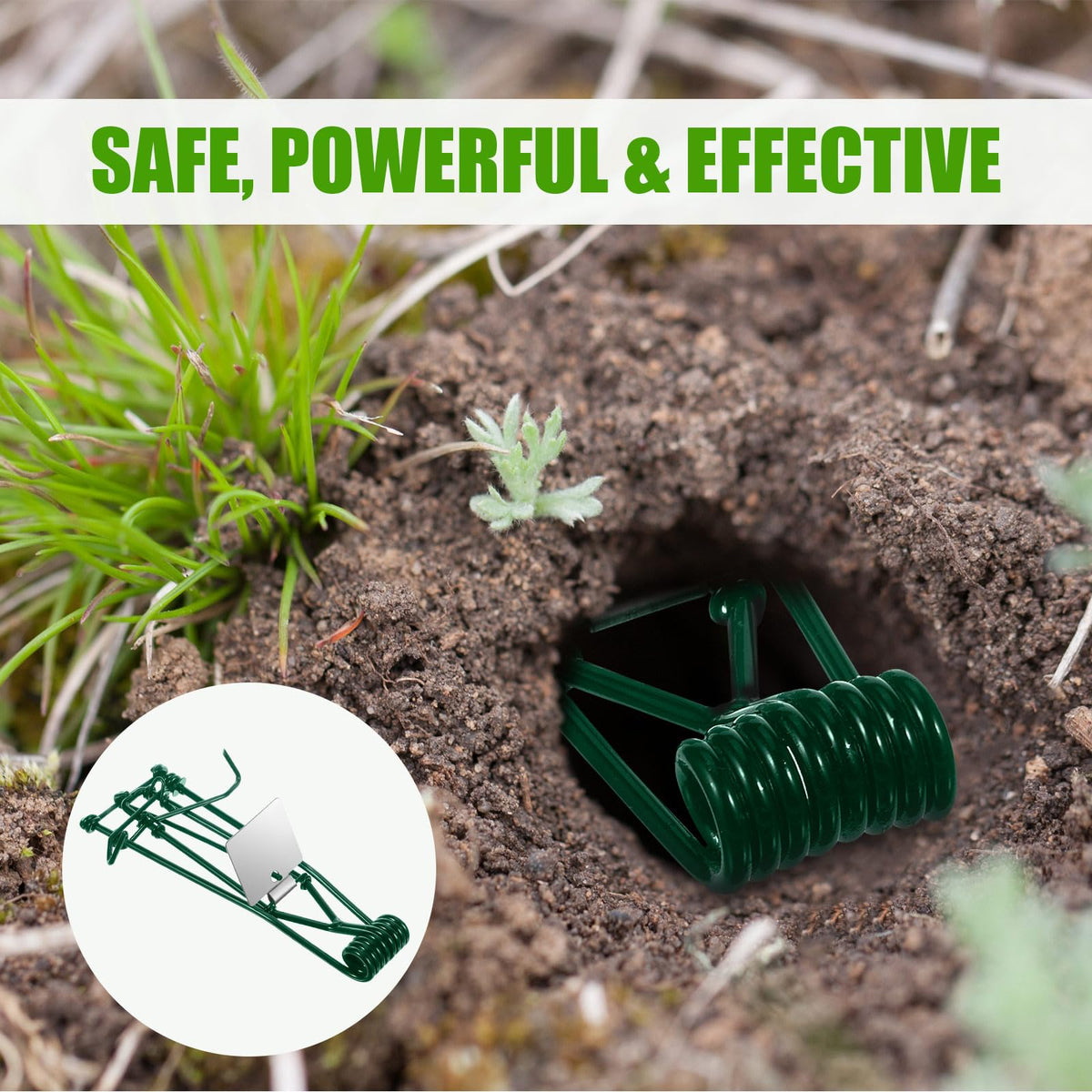 Jahy2Tech mole trap setup in action for efficient control.