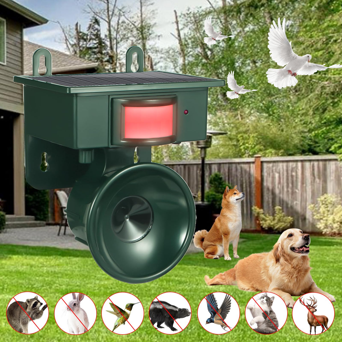 Jahy2Tech solar panel focus highlights constant solar-powered deterrence