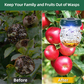 Jahy2Tech Night-light trap captures nuisance wasps after dark.