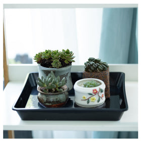 JAKOUE durable reusable tray for indoor and outdoor gardening.