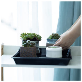 JAKOUE protective saucer shields furniture from water damage.
