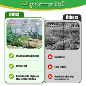 JAOTREL plant compatibility for roses tomatoes cucumbers ivy
