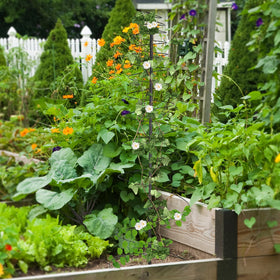 JAOTREL two-pack in black offers versatile garden deployment