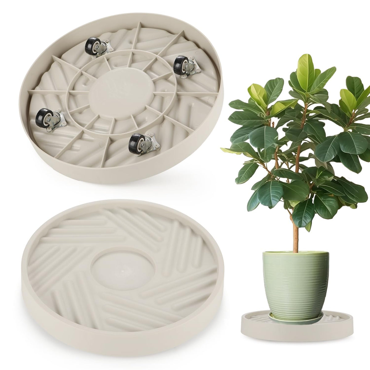 JAOXISOU plant caddy with wheels rolling stand, easy indoor relocation without heavy lifting.