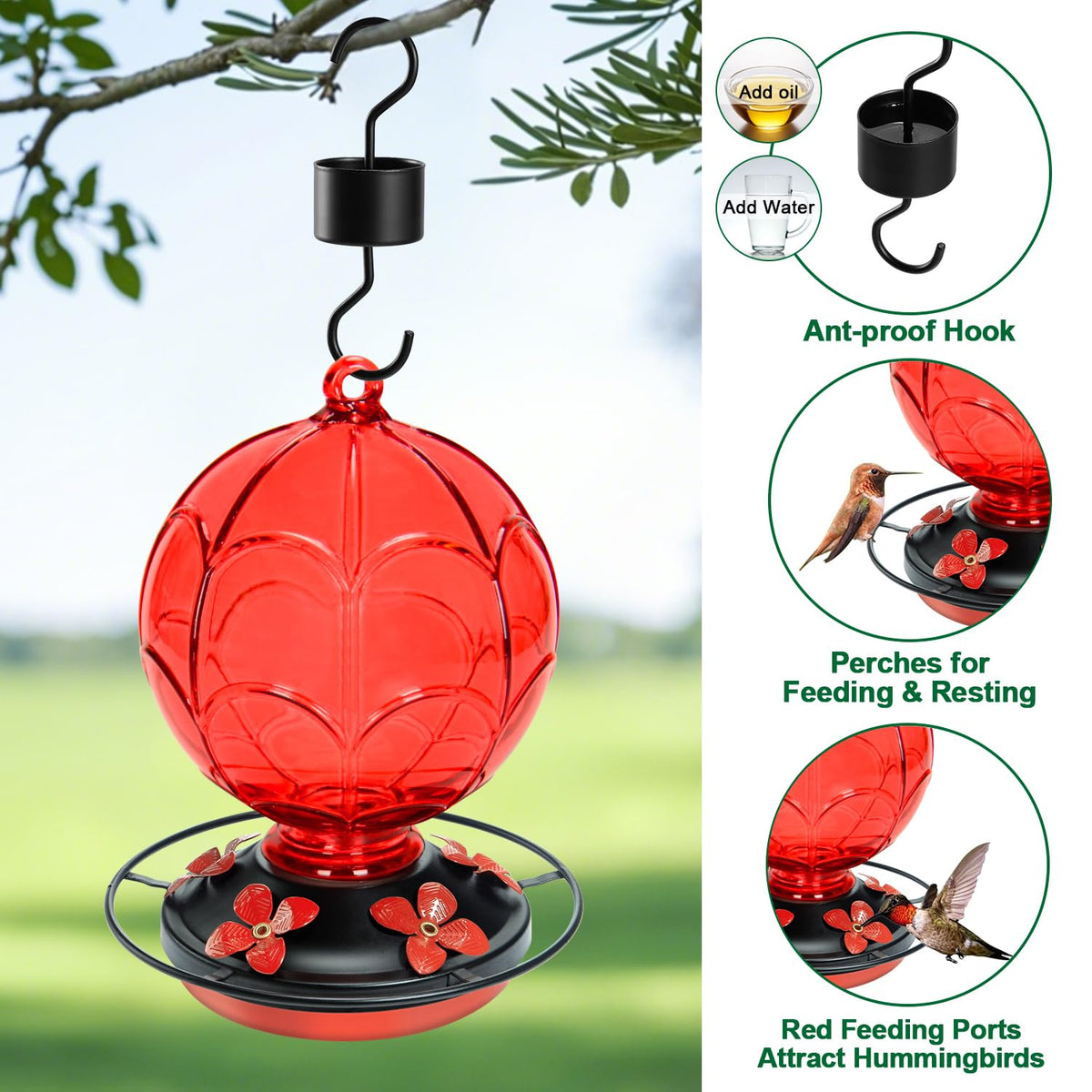 Jarkyfine glass feeder offers 360-degree viewing of nectar activity