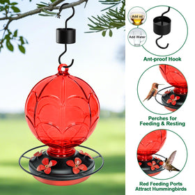 Jarkyfine glass feeder offers 360-degree viewing of nectar activity