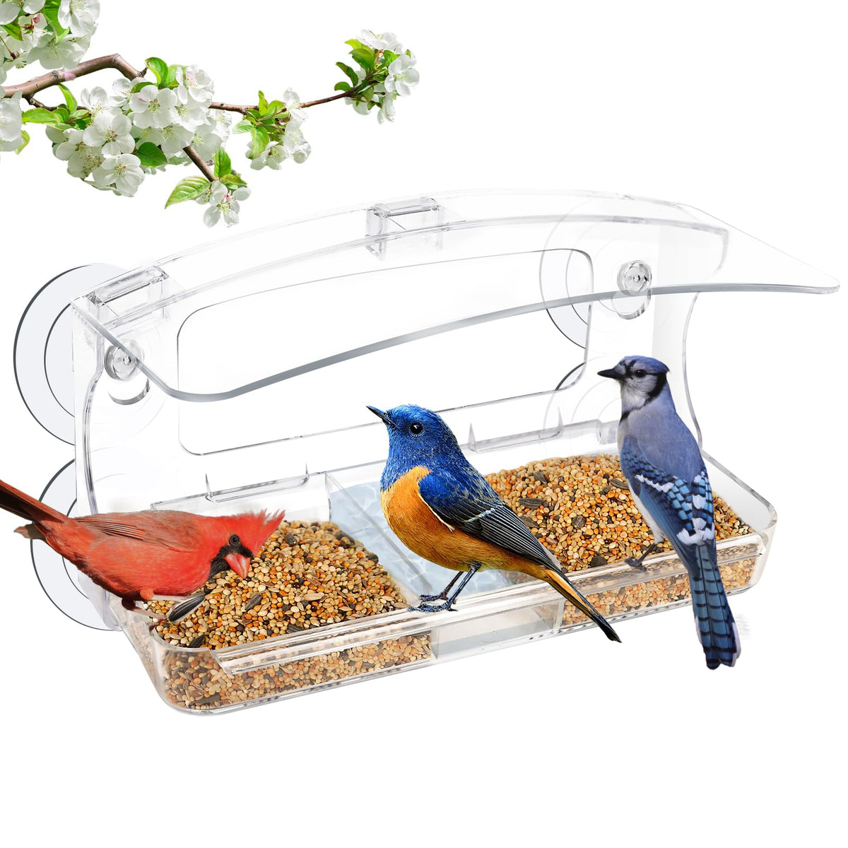 Jarkyfine window bird feeder with three-sided perching for multi-bird viewing.