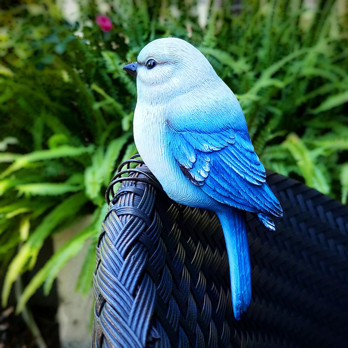 Jarpsiry blue-yellow bird perched on a branch adds outdoor charm.