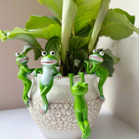 JARPSIRY frog plant hugger—close view, adds whimsy to planters and pots.