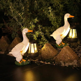 JARPSIRY solar lantern garden decor shines at night for cozy evenings