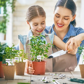 JarThenaAMCS herb-name labels aid quick plant identification