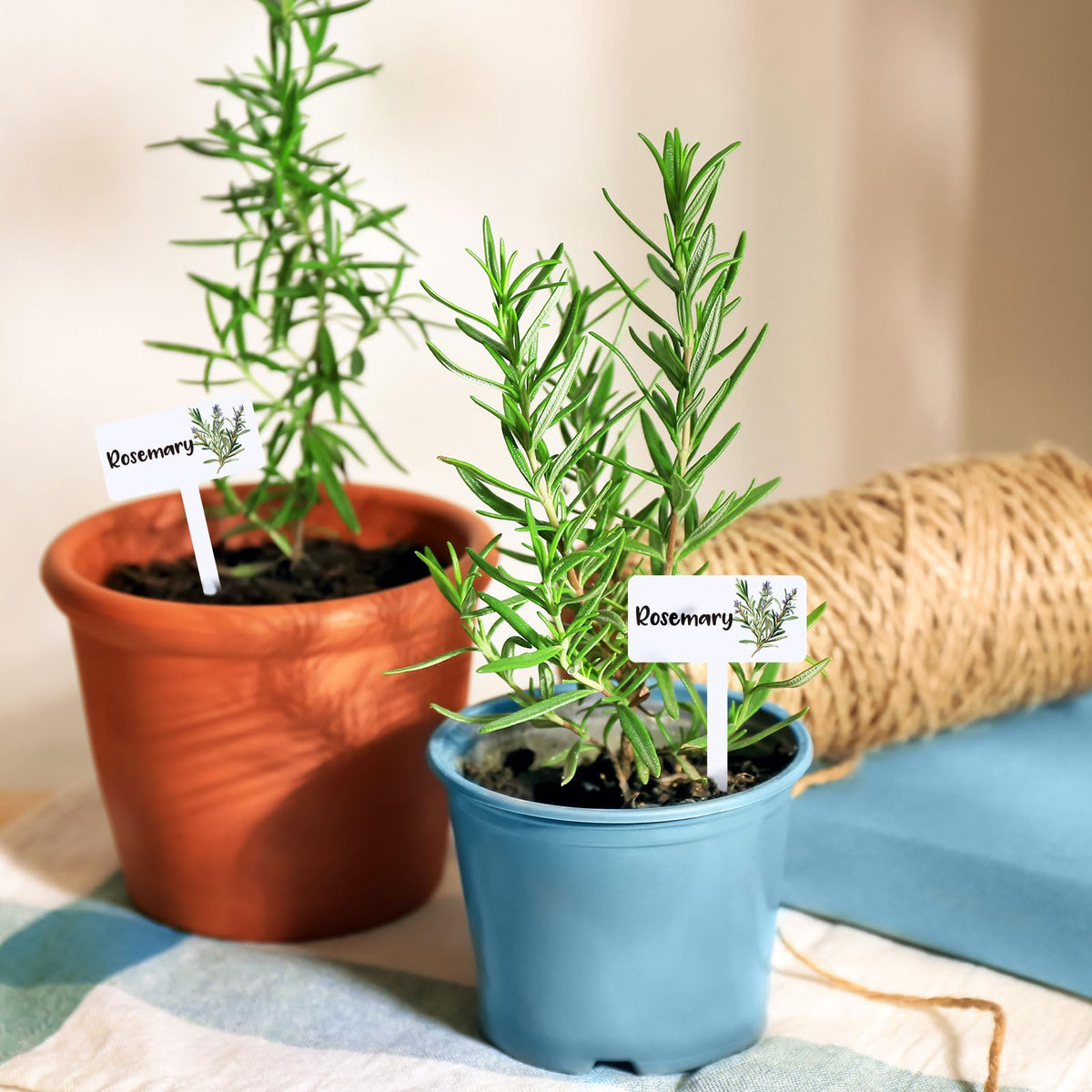 JarThenaAMCS reusable markers for garden planning and seasons