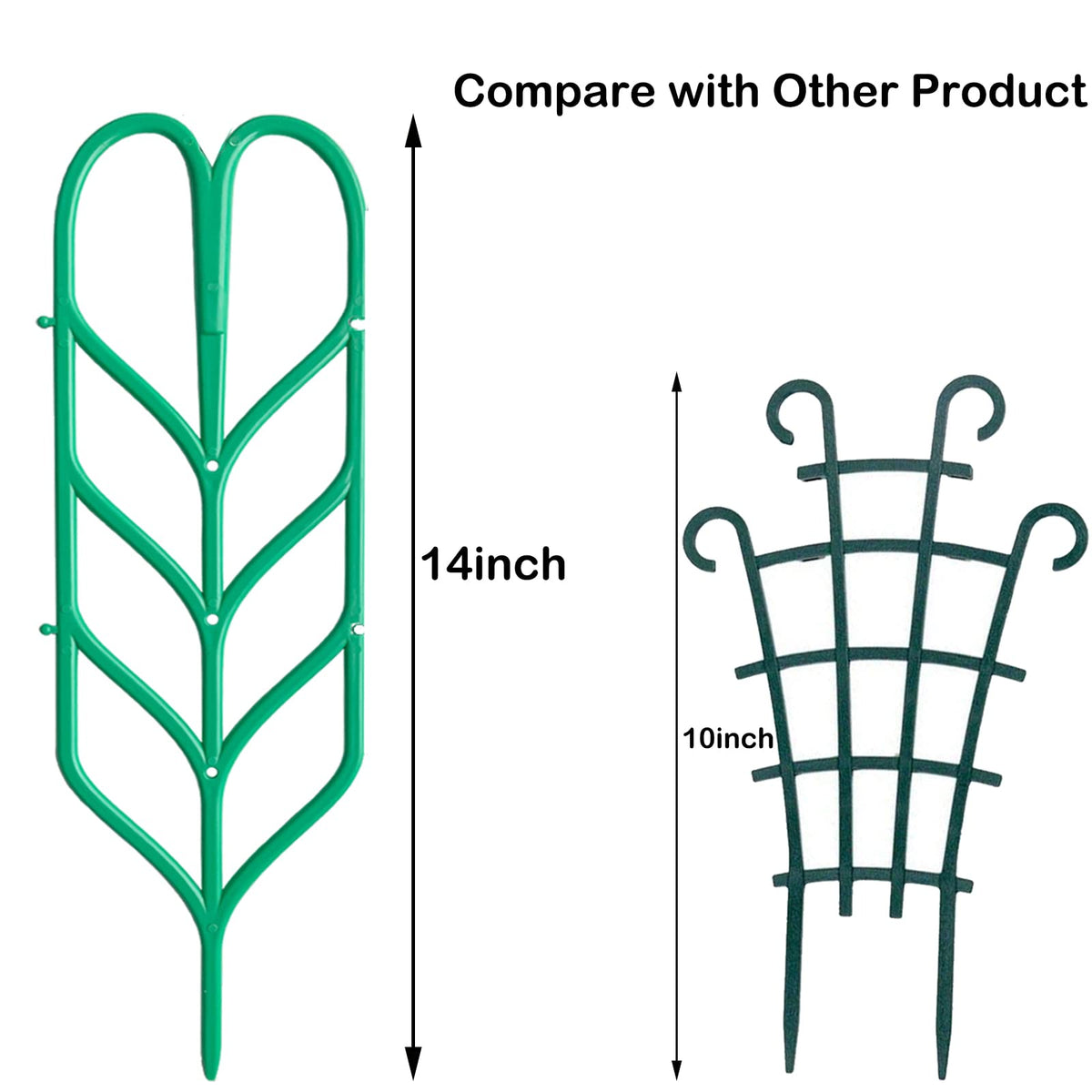 Jashem straight stake design stabilizes young vines in pots