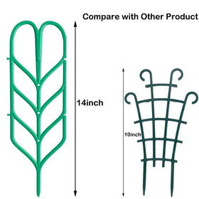 Jashem straight stake design stabilizes young vines in pots