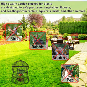 Jawulija 14-inch cloche offers roomy space for vegetables and flowers.