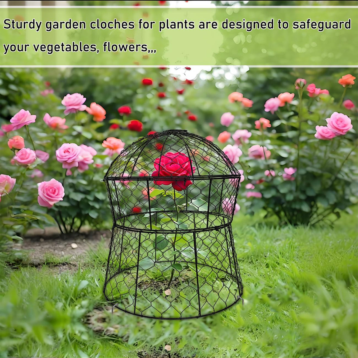 Jawulija plant cage for outdoor use provides weatherproof protection and airflow.
