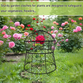 Jawulija plant cage for outdoor use provides weatherproof protection and airflow.
