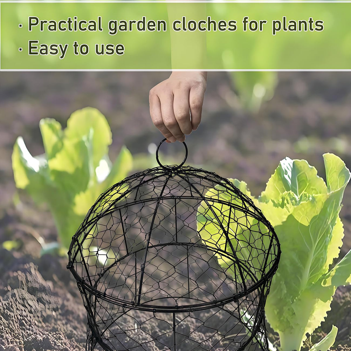 Jawulija vegetable flower seedling protection keeps plants safe while growing.