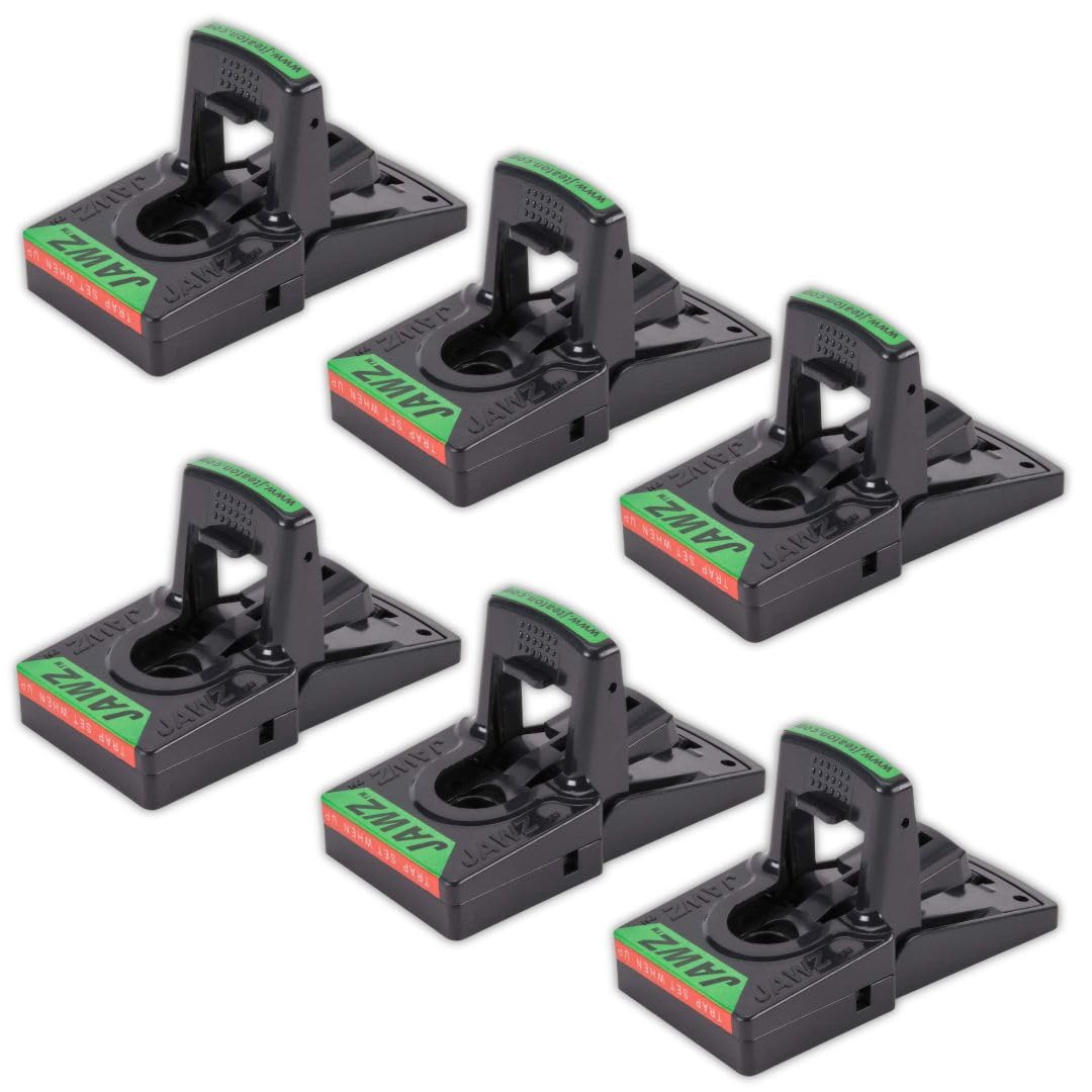 JT Eaton JAWZTM plastic mouse trap front view highlighting compact placement
