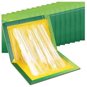 Jazb mouse trap indoor setup on shelf for quick pest control.