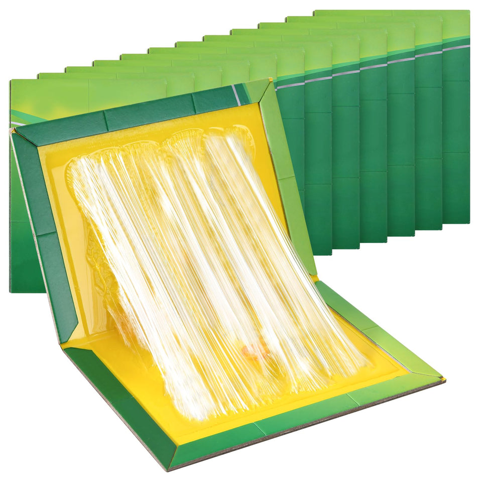 Jazb mouse trap indoor setup on shelf for quick pest control.