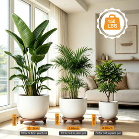 JAZUIHA large wood round plant stand supporting a larger pot as a focal point
