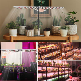 JCBritw ideal for seeds and indoor plants in compact spaces.