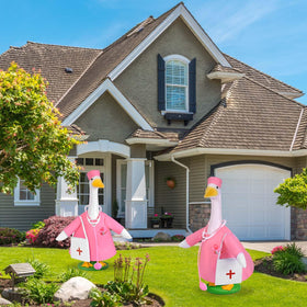 JcHrmers outdoor lawn display with doctor goose for cheerful healthcare vibe