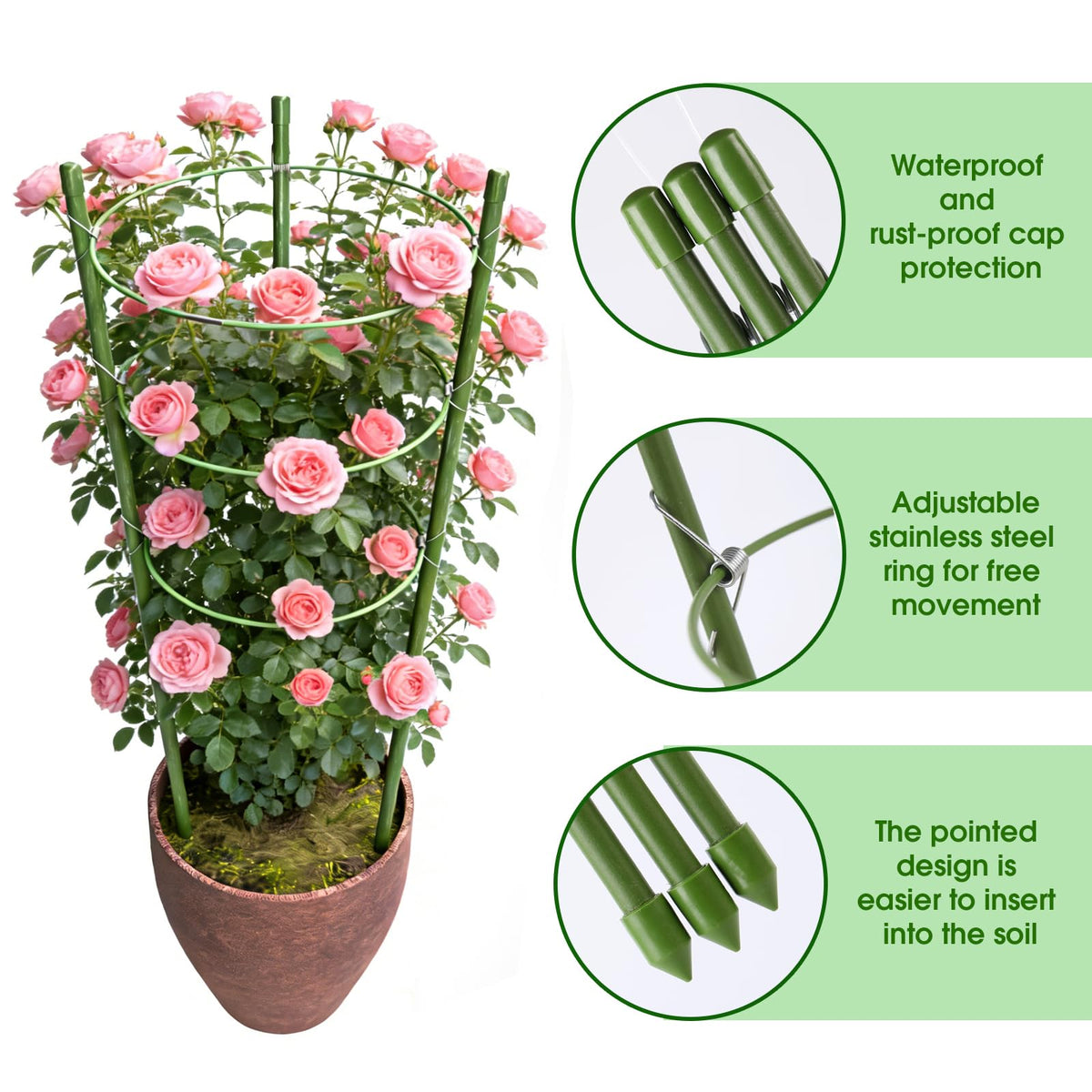 JCKHXG adjustable rings design on a 24 inch cage accommodates dynamic growth.