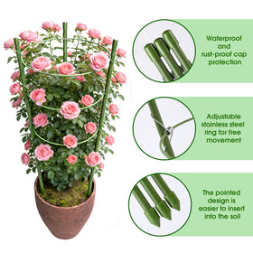JCKHXG adjustable rings design on a 24 inch cage accommodates dynamic growth.