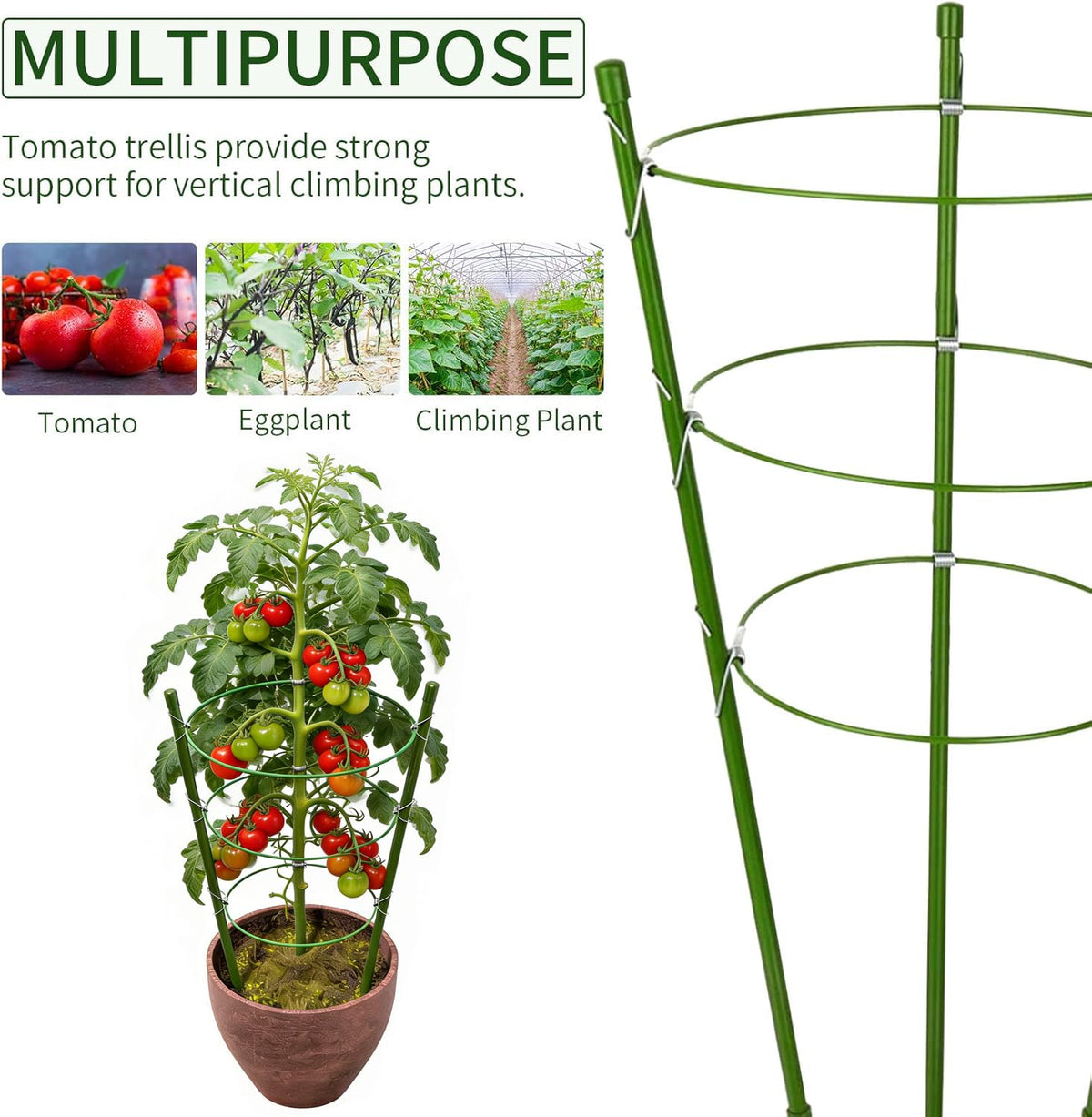 JCKHXG vertical growth support aids pruning and picking.