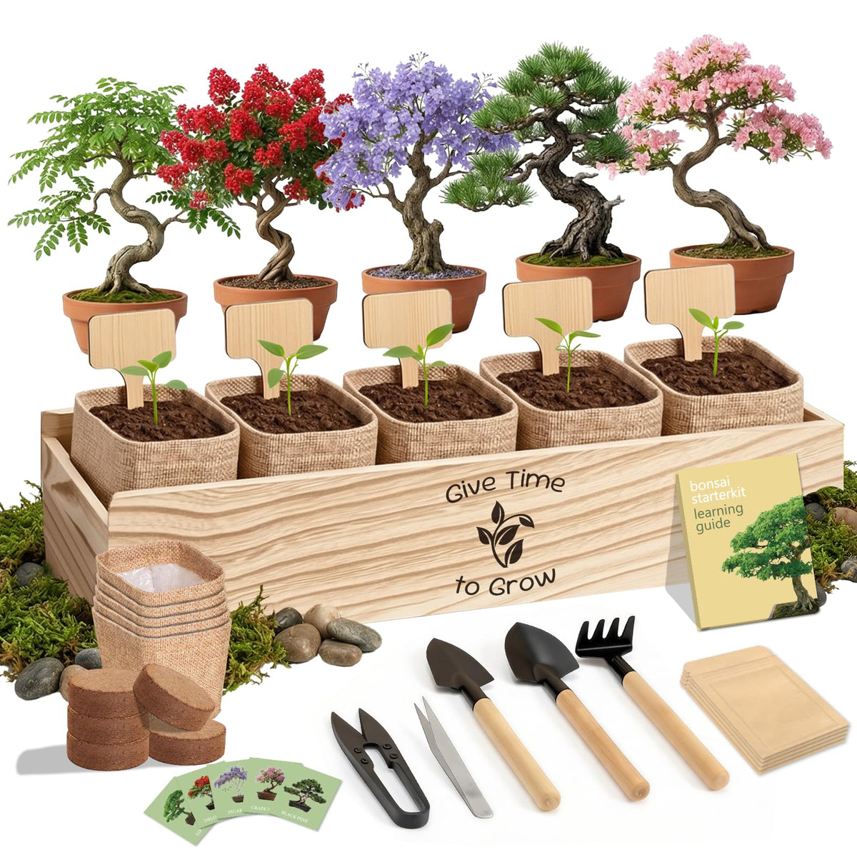 JELHFIP Bonsai Starter Kit all-in-one with beginner-friendly tools.