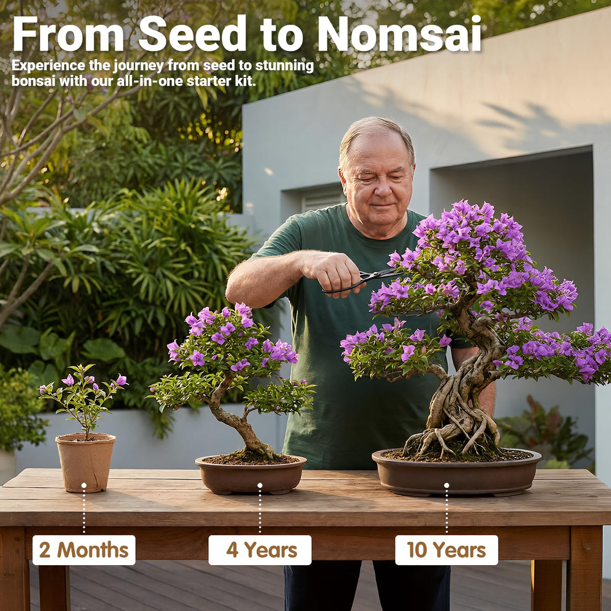 JELHFIP Gift-ready bonsai kit makes a thoughtful plant gift.